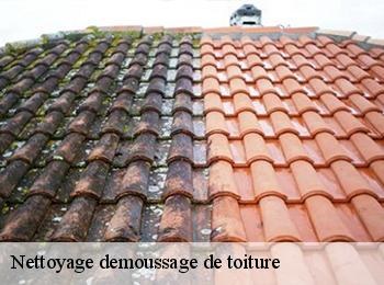 Nettoyage demoussage de toiture