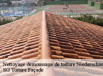 Nettoyage demoussage de toiture 67500