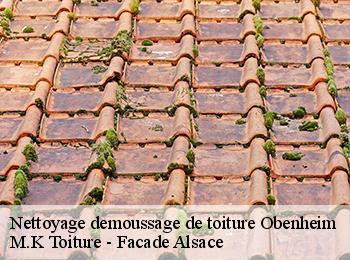 Nettoyage demoussage de toiture  67230