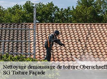 Nettoyage demoussage de toiture