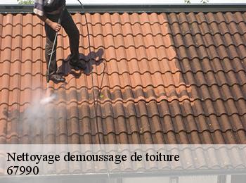 Nettoyage demoussage de toiture