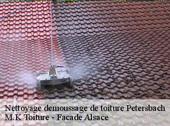 Nettoyage demoussage de toiture  petersbach-67290 M.K Toiture - Facade Alsace