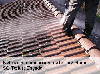 Nettoyage demoussage de toiture  plaine-67420 SG Toiture Façade