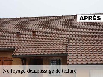 Nettoyage demoussage de toiture