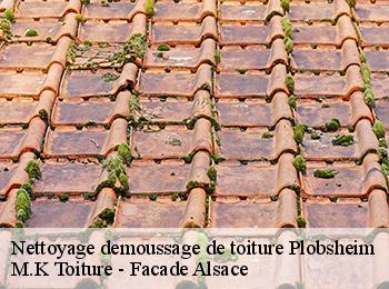 Nettoyage demoussage de toiture  67115