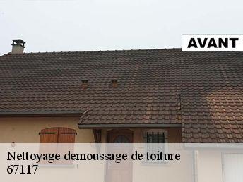 Nettoyage demoussage de toiture 67117