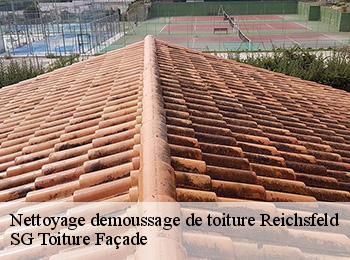 Nettoyage demoussage de toiture 67140