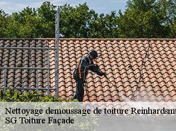Nettoyage demoussage de toiture