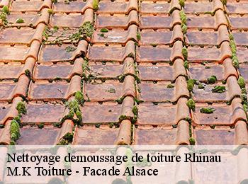 Nettoyage demoussage de toiture 67860