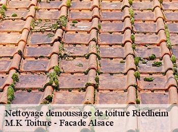 Nettoyage demoussage de toiture  67330