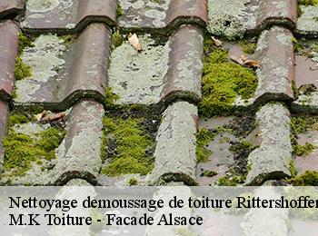 Nettoyage demoussage de toiture