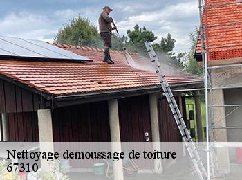 Nettoyage demoussage de toiture 67310
