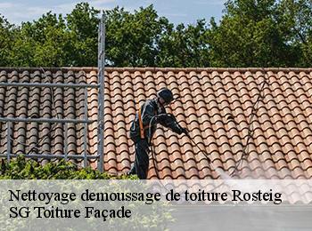Nettoyage demoussage de toiture