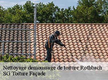 Nettoyage demoussage de toiture