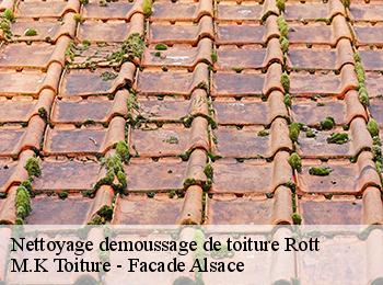 Nettoyage demoussage de toiture  67160