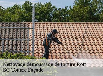 Nettoyage demoussage de toiture