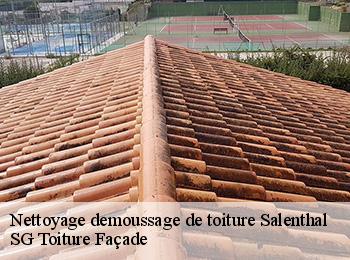 Nettoyage demoussage de toiture  67440