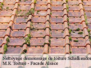 Nettoyage demoussage de toiture  67350