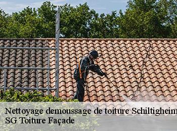 Nettoyage demoussage de toiture