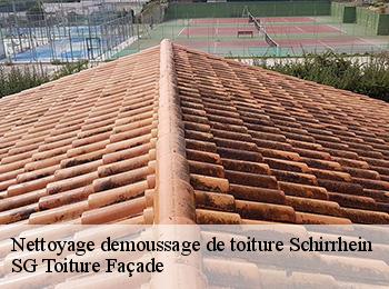 Nettoyage demoussage de toiture  67240