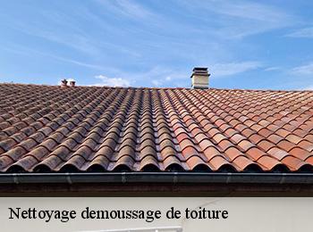 Nettoyage demoussage de toiture