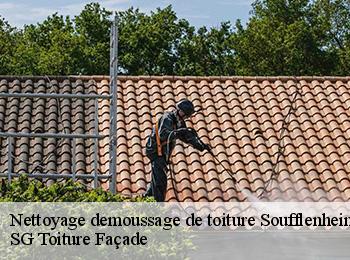 Nettoyage demoussage de toiture
