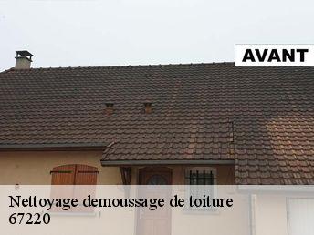 Nettoyage demoussage de toiture 67220