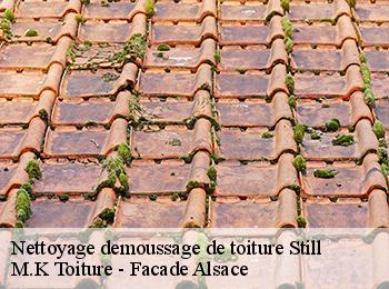 Nettoyage demoussage de toiture  67190