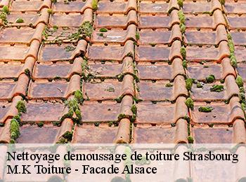 Nettoyage demoussage de toiture  67000