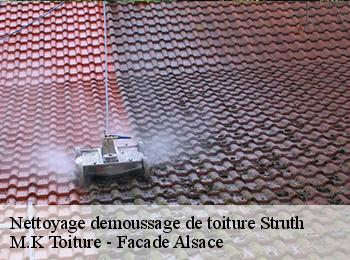 Nettoyage demoussage de toiture  struth-67290 M.K Toiture - Facade Alsace