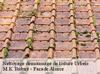 Nettoyage demoussage de toiture  67220