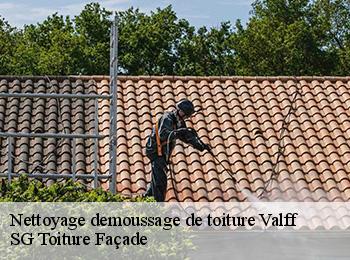 Nettoyage demoussage de toiture