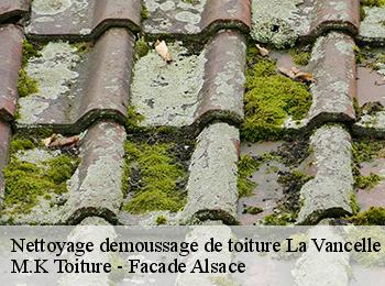 Nettoyage demoussage de toiture