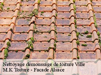 Nettoyage demoussage de toiture 67220