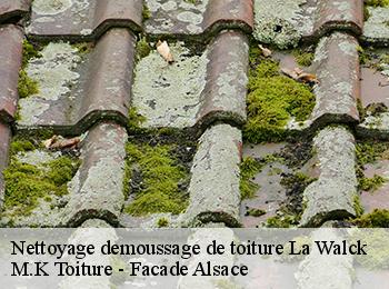 Nettoyage demoussage de toiture