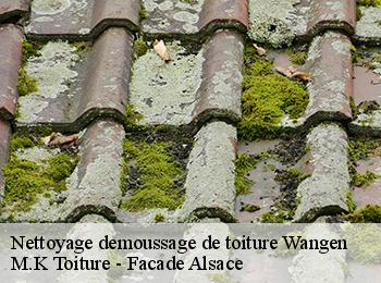 Nettoyage demoussage de toiture