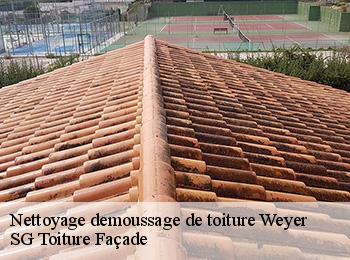 Nettoyage demoussage de toiture  67320