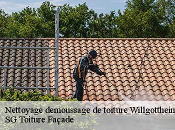 Nettoyage demoussage de toiture
