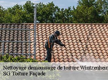 Nettoyage demoussage de toiture