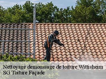 Nettoyage demoussage de toiture