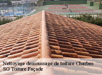 Nettoyage demoussage de toiture  67220