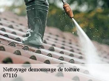Nettoyage demoussage de toiture