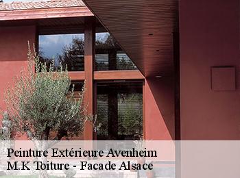 Peinture Extérieure avenheim-67370 M.K Toiture - Facade Alsace