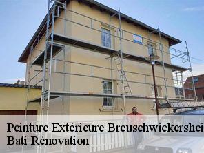 Peinture Extérieure  breuschwickersheim-67112 Bati Rénovation