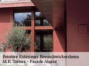 Peinture Extérieure  breuschwickersheim-67112 M.K Toiture - Facade Alsace