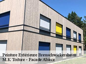 Peinture Extérieure