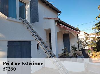 Peinture Extérieure  67260