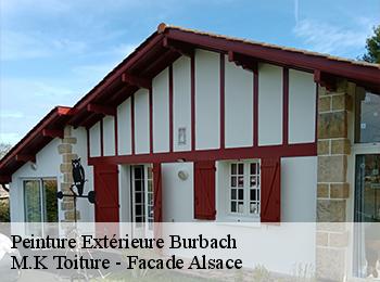 Peinture Extérieure  67260