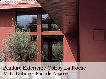 Peinture Extérieure colroy-la-roche-67420 M.K Toiture - Facade Alsace