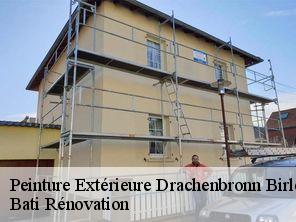 Peinture Extérieure drachenbronn-birlenbach-67160 Bati Rénovation